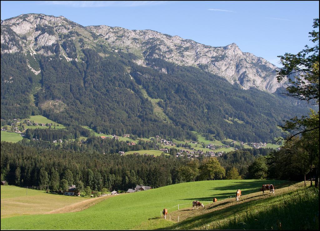 Apartamento Kalssnhof Bad Aussee Exterior foto